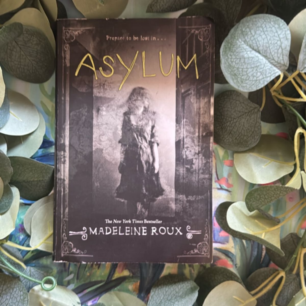 Asylum by Madeleine Roux, Paperback | Pangobooks