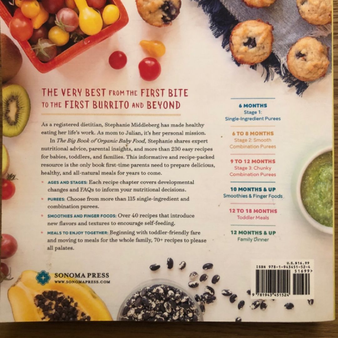 The Big Book of Organic Baby Food
