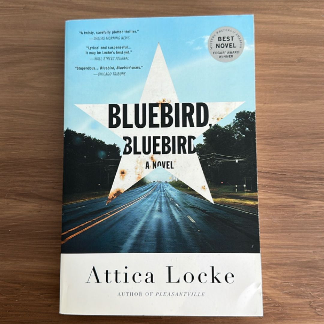 Bluebird, Bluebird