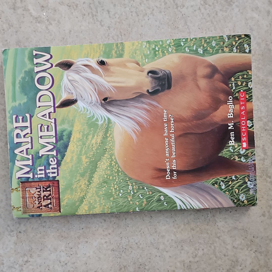 Mare in the Meadow *