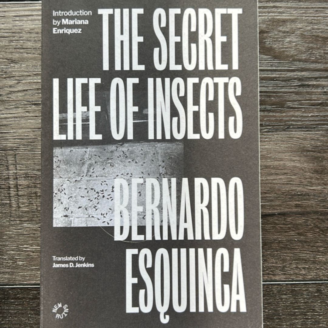 The Secret Life of Insects
