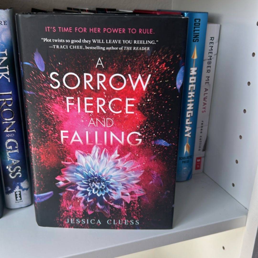 A Sorrow Fierce and Falling (Kingdom on Fire, Book Three)