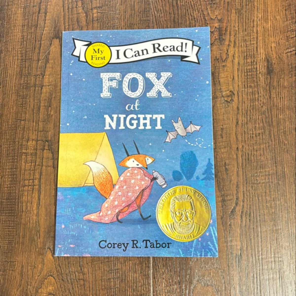 Fox at Night by Corey R. Tabor