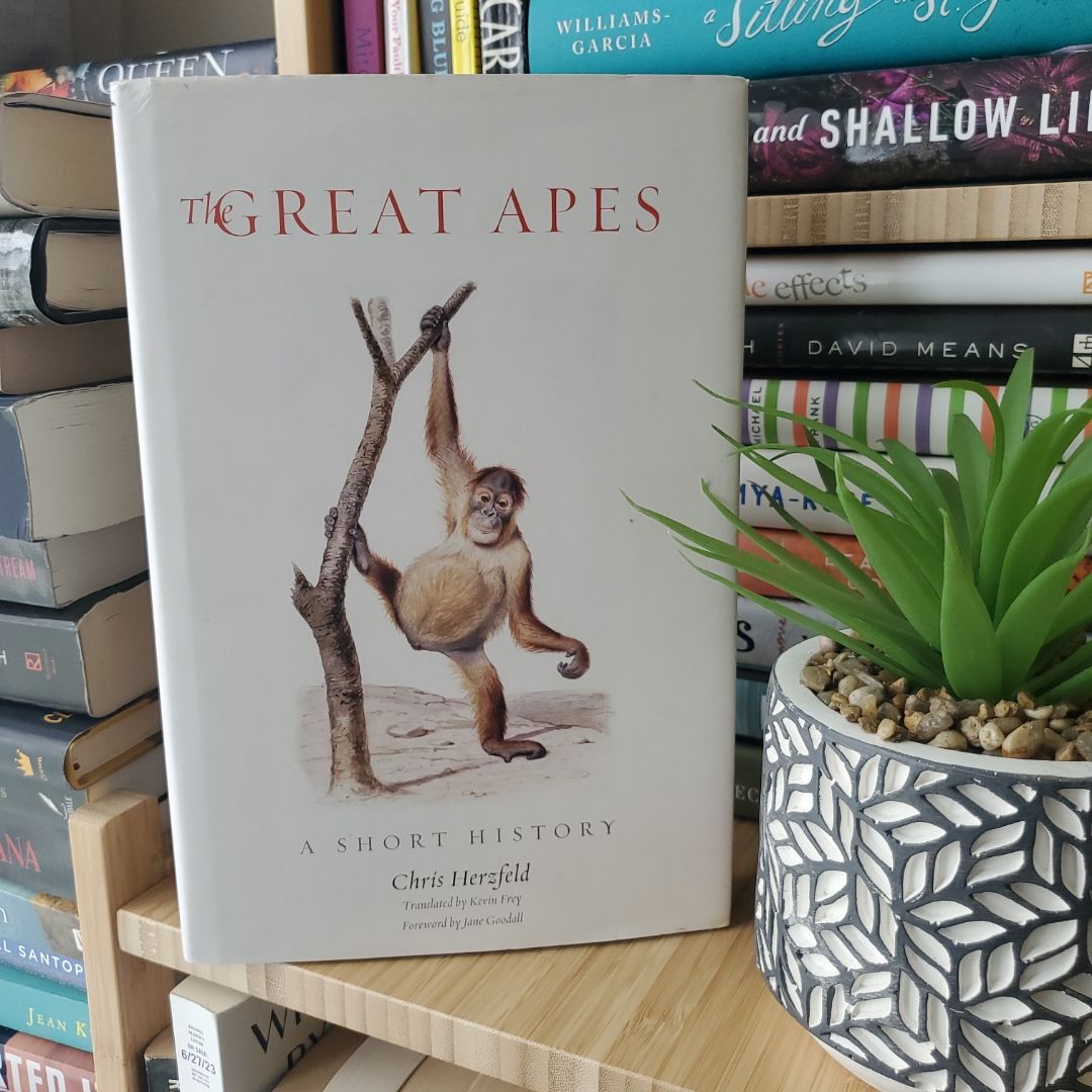 The Great Apes