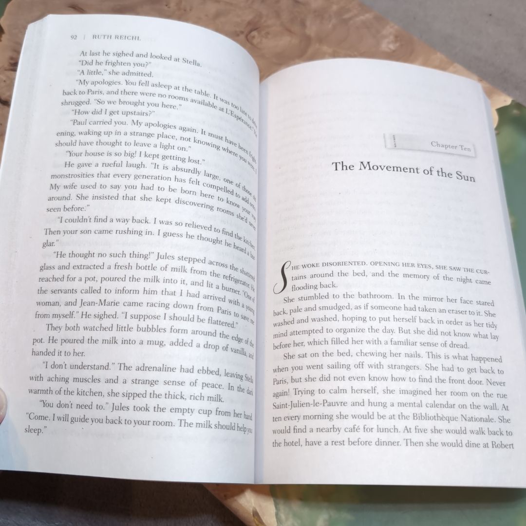 The Paris Novel