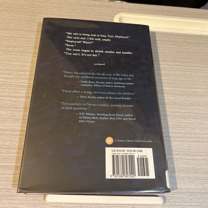 Soldier Sister, Fly Home