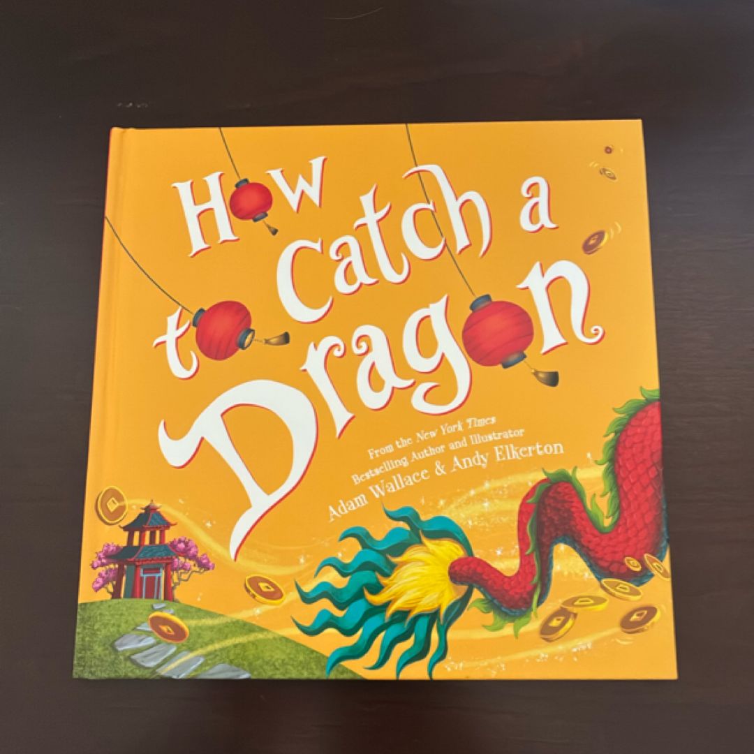 How to Catch a Dragon