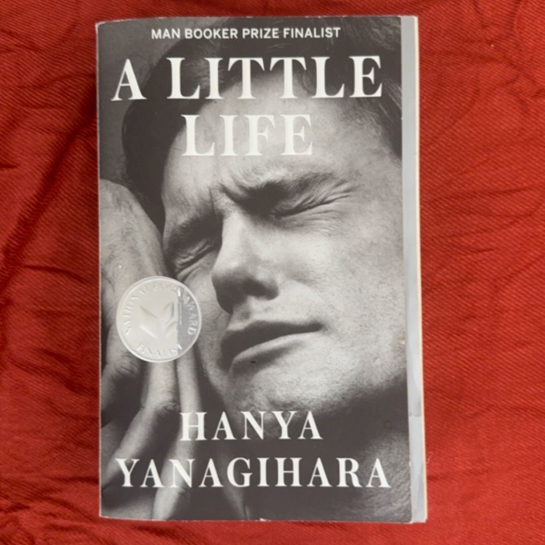 A Little Life