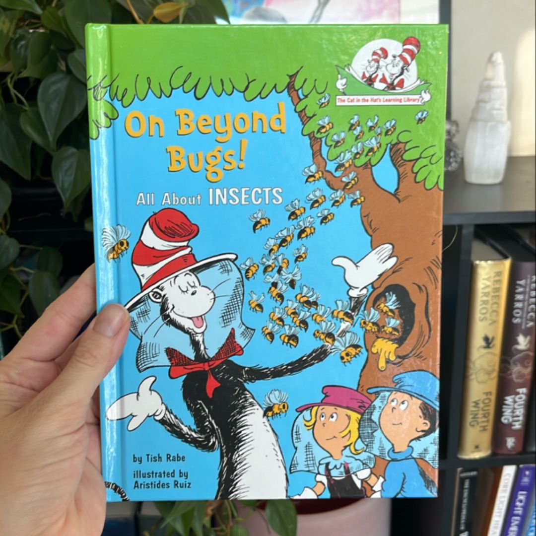 On Beyond Bugs
