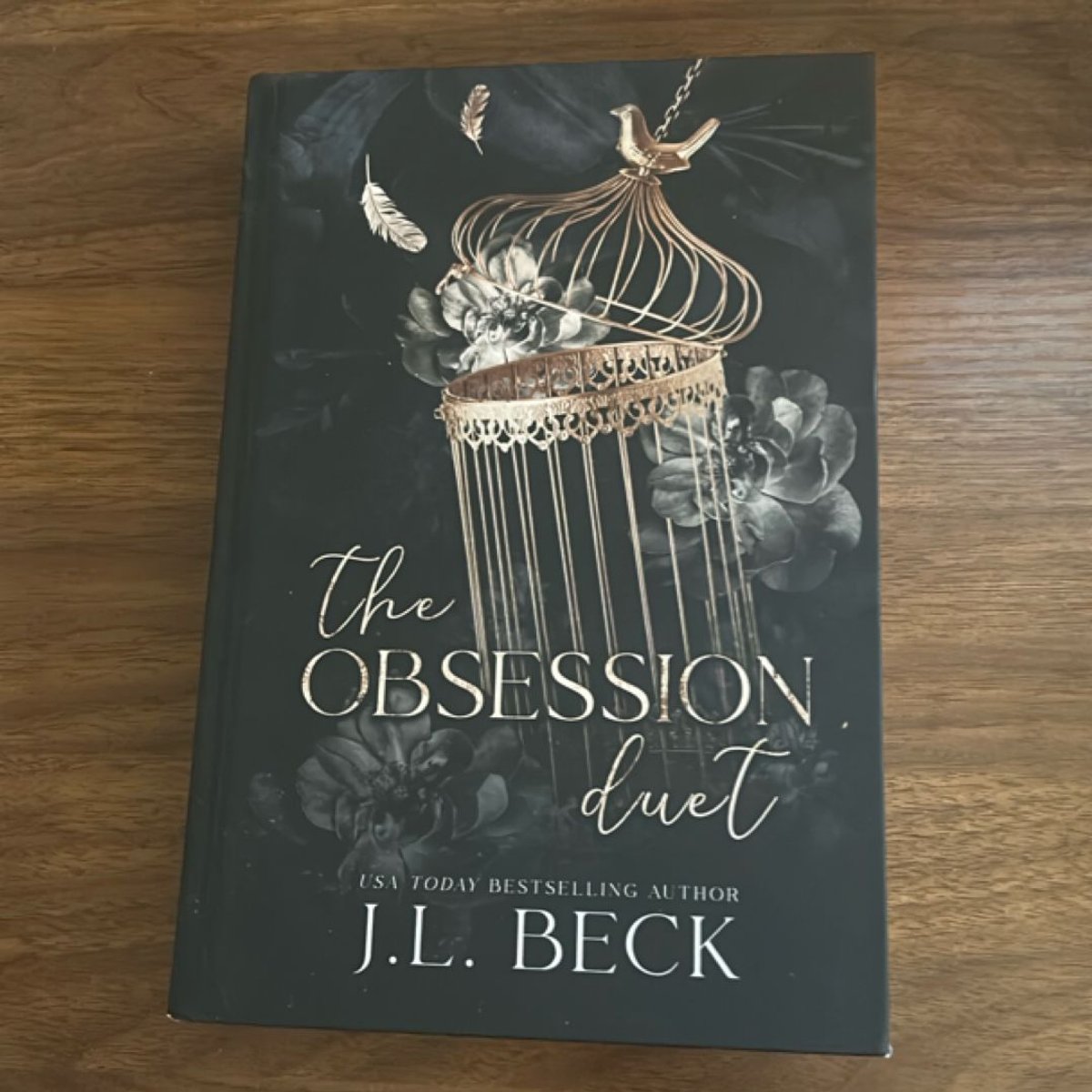 The Obsession Duet by J. L. Beck