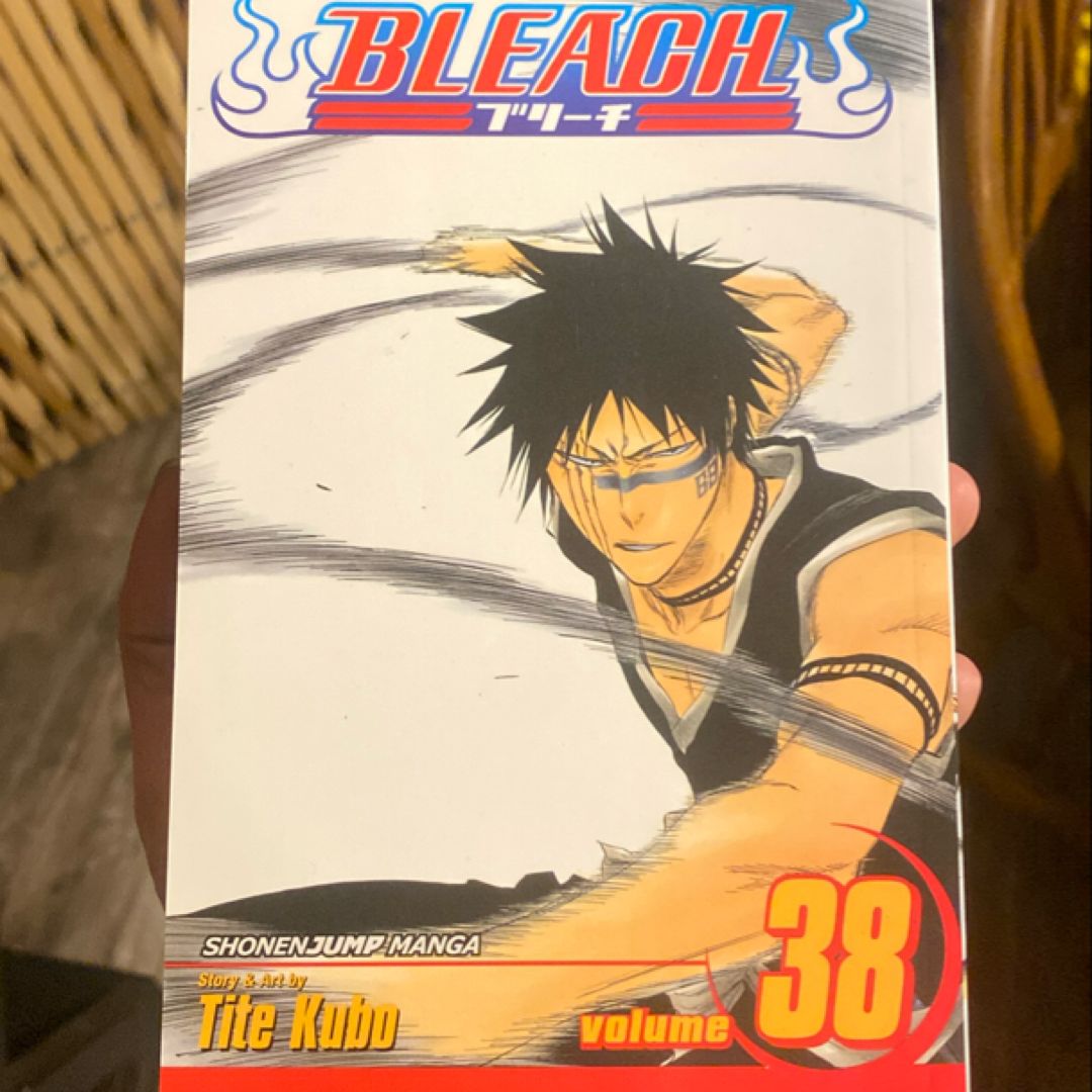 Bleach, Vol. 38