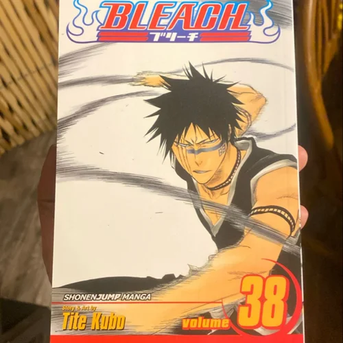 Bleach, Vol. 38