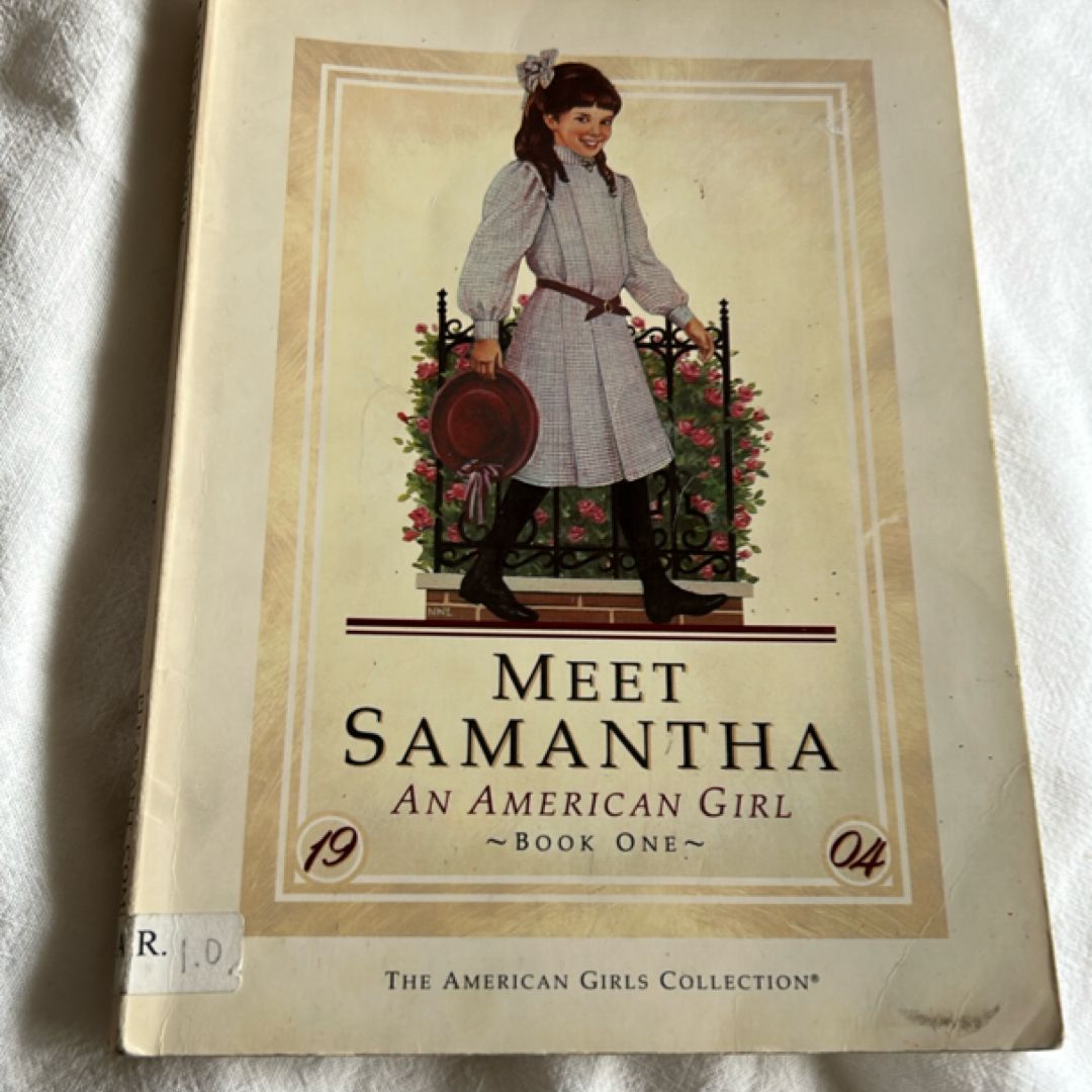 Meet Samantha