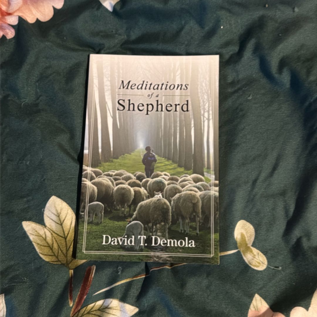 Meditations of a shepherd