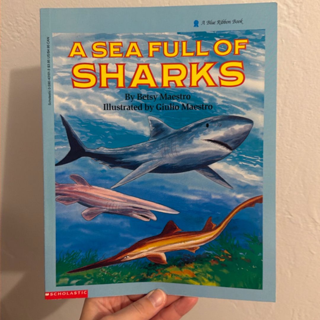 Sea Full of Sharks