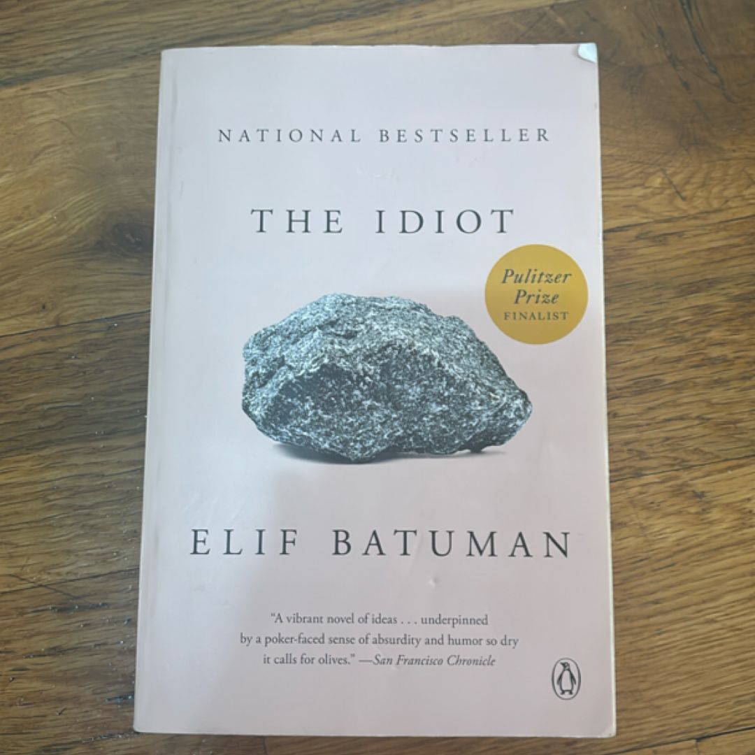 The Idiot