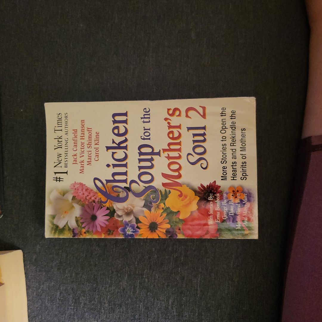 Chicken Soup for the Mother's Soul 2