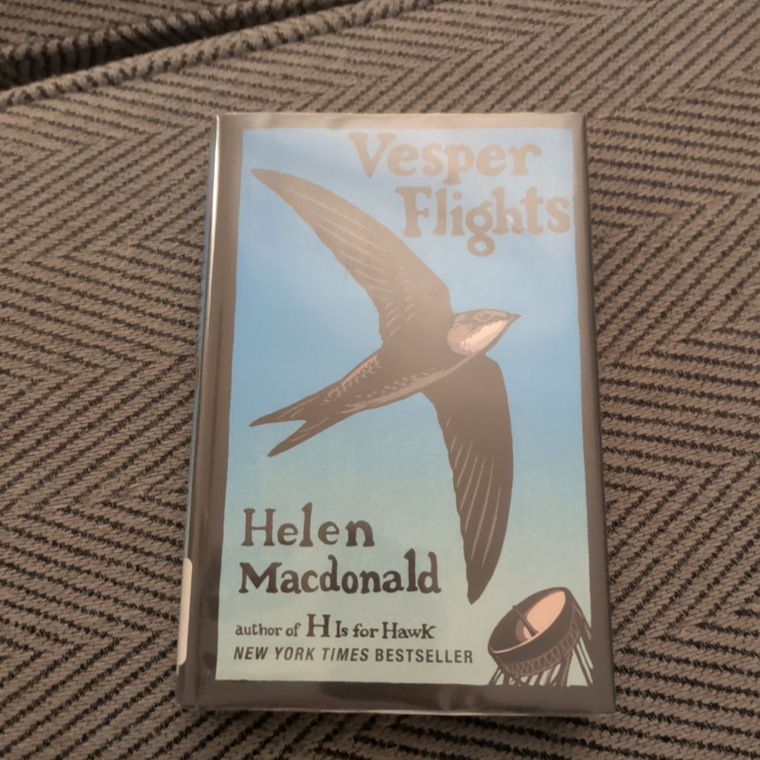 Vesper Flights