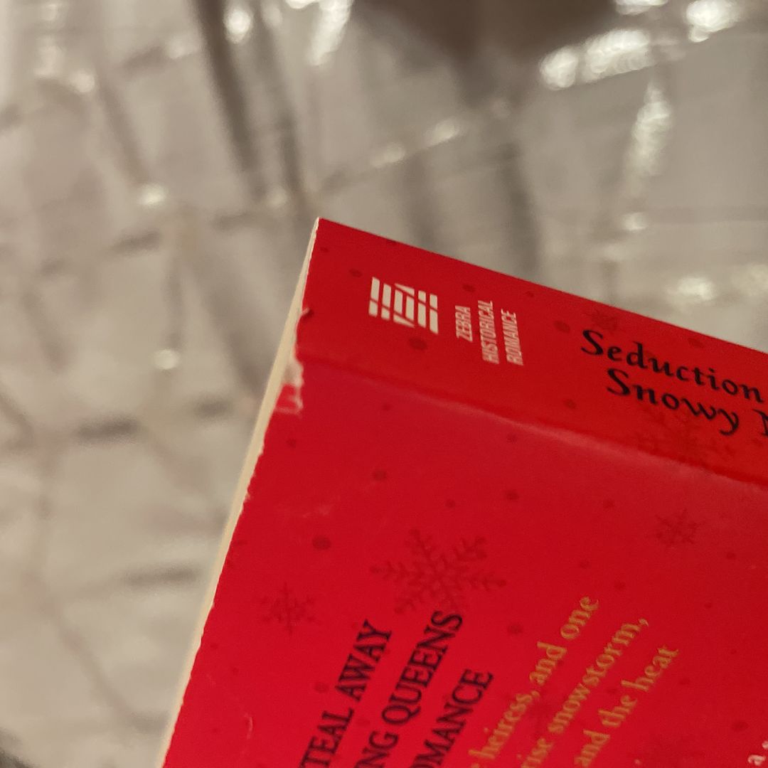 Seduction on a Snowy Night