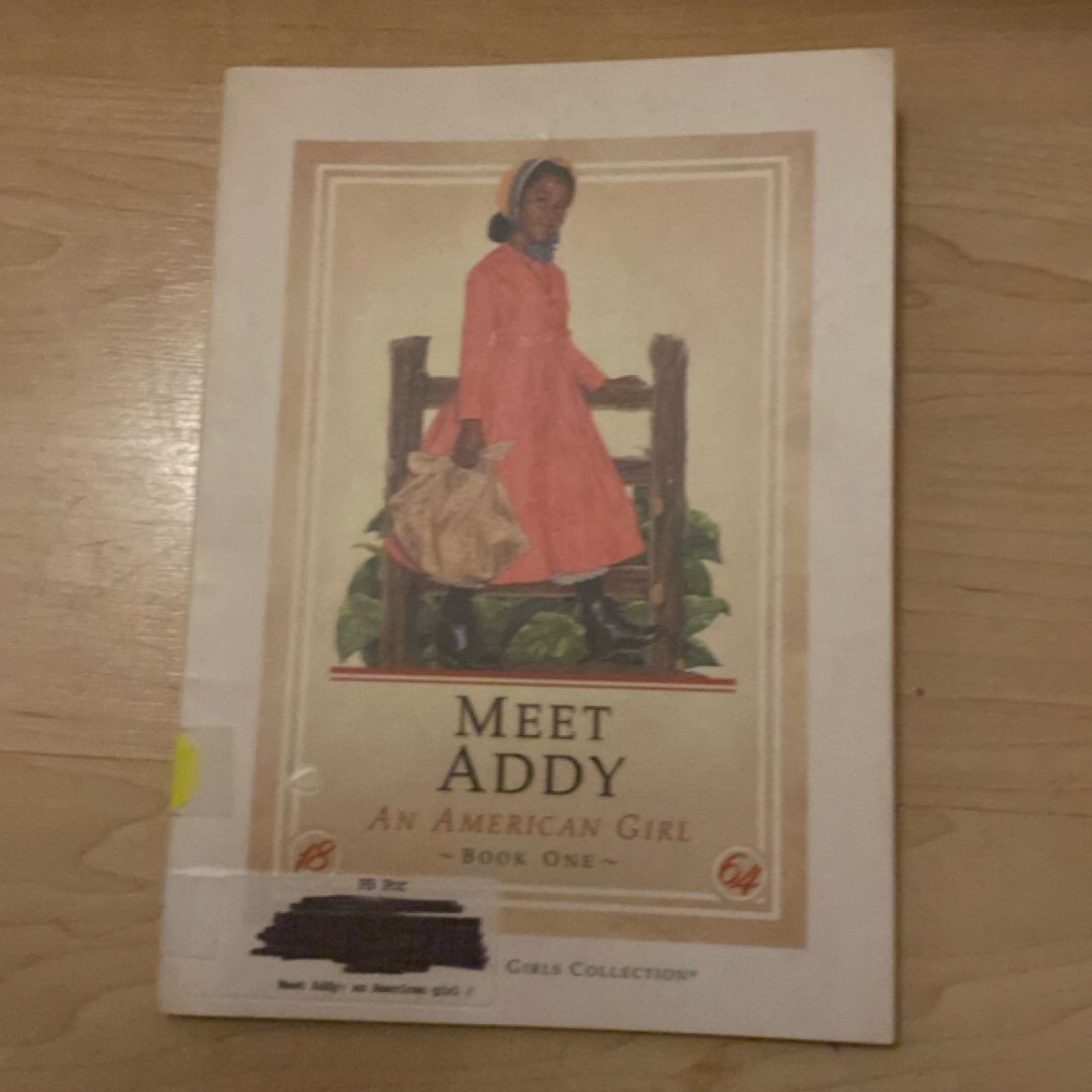 Meet Addy