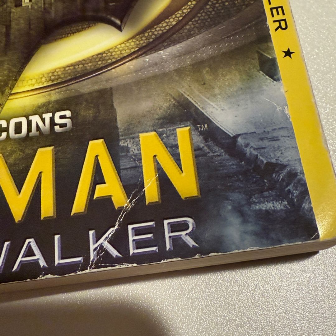 *Sprayed Edges* Batman: Nightwalker