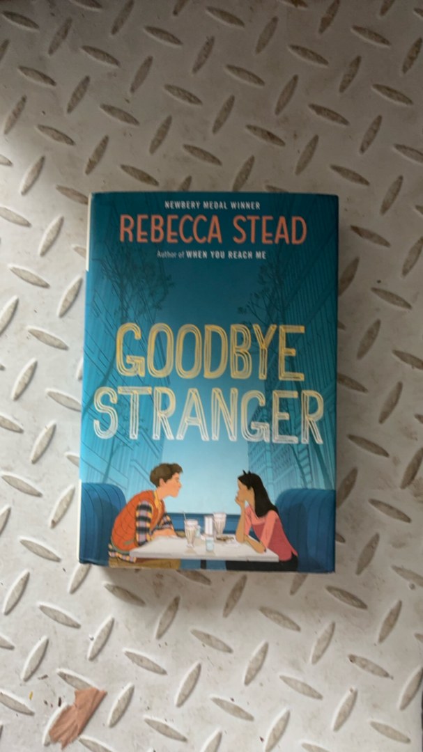 Goodbye Stranger
