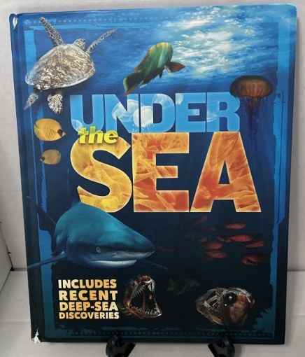 Under the Sea