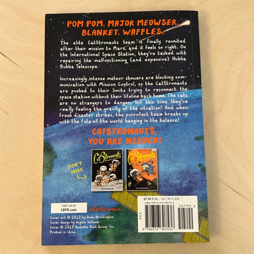 CatStronauts: Space Station Situation