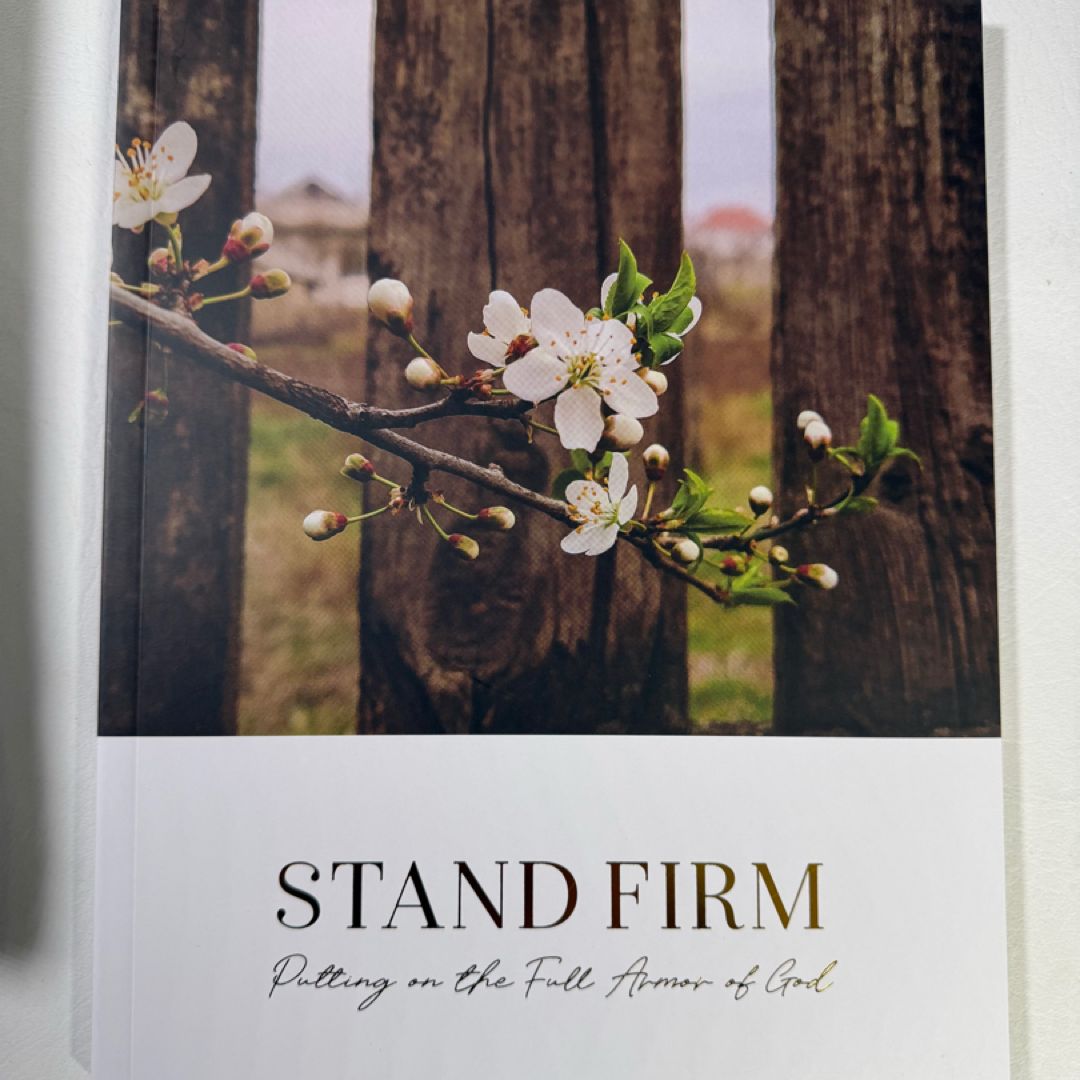 Stand Firm | Armor of God Study by The Daily Grace Co.