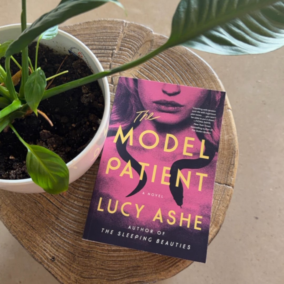 The Model Patient
