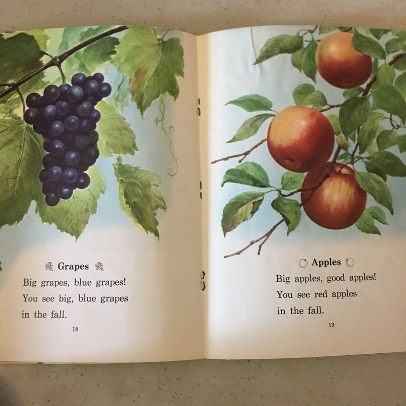 Fall Is Here-Winter Is Here