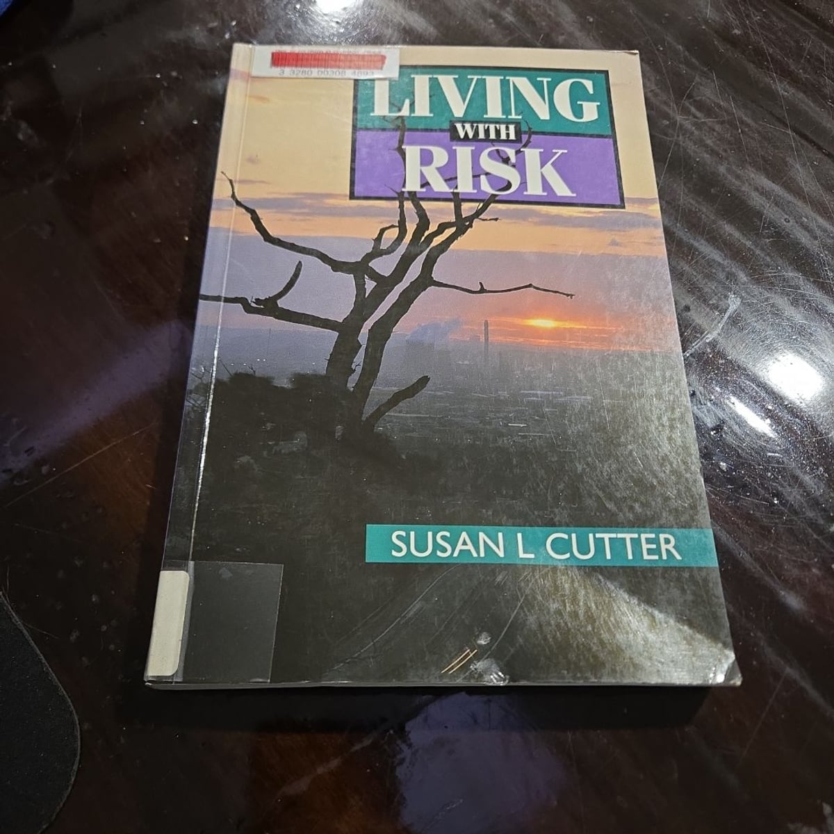 Living with the Risk by Susan L. Cutter
