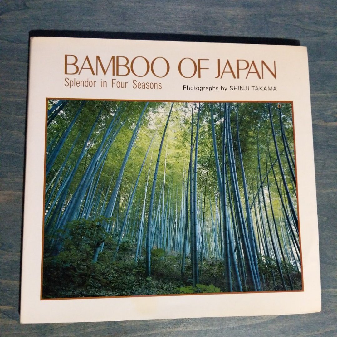 Bamboo of Japan