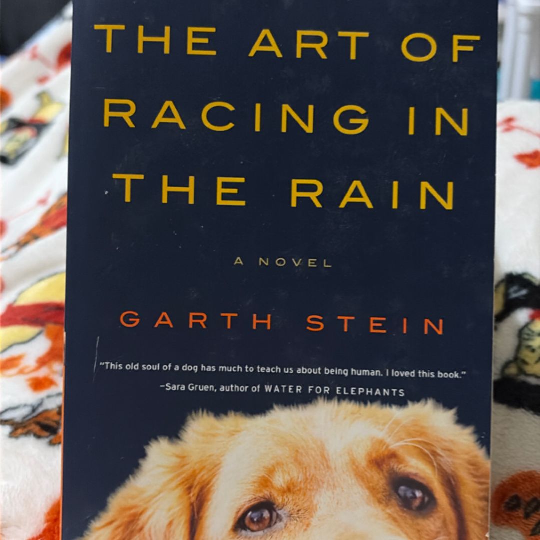 The Art of Racing in the Rain