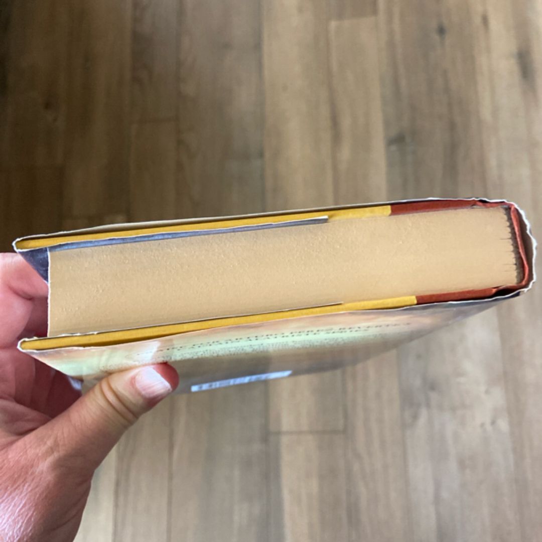 The Cavalier in the Yellow Doublet