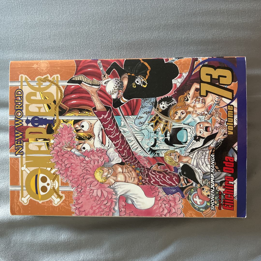 One Piece, Vol. 73
