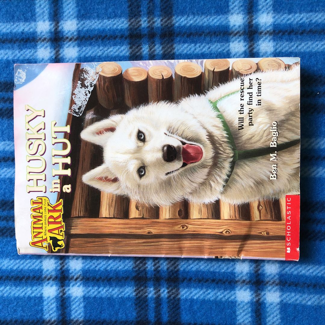 Husky in a Hut