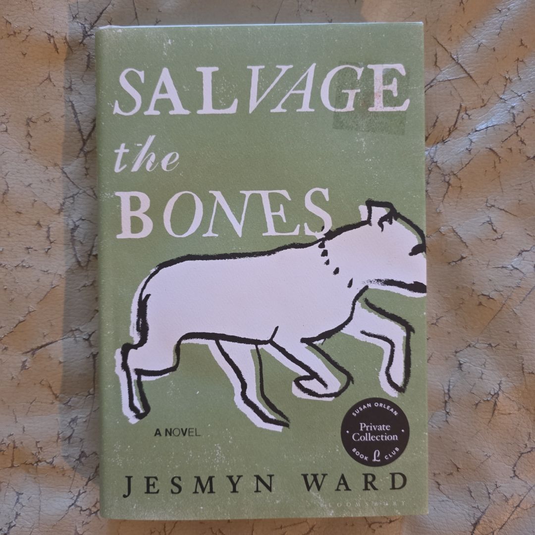 Salvage the Bones A Novel