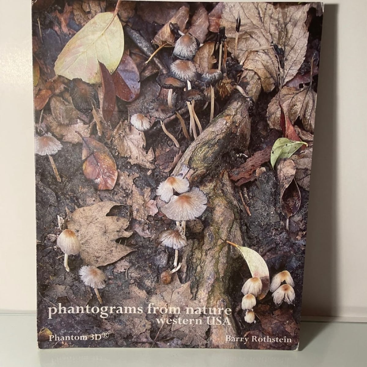 Phantograms from Nature Western USA by Barry Rothstein