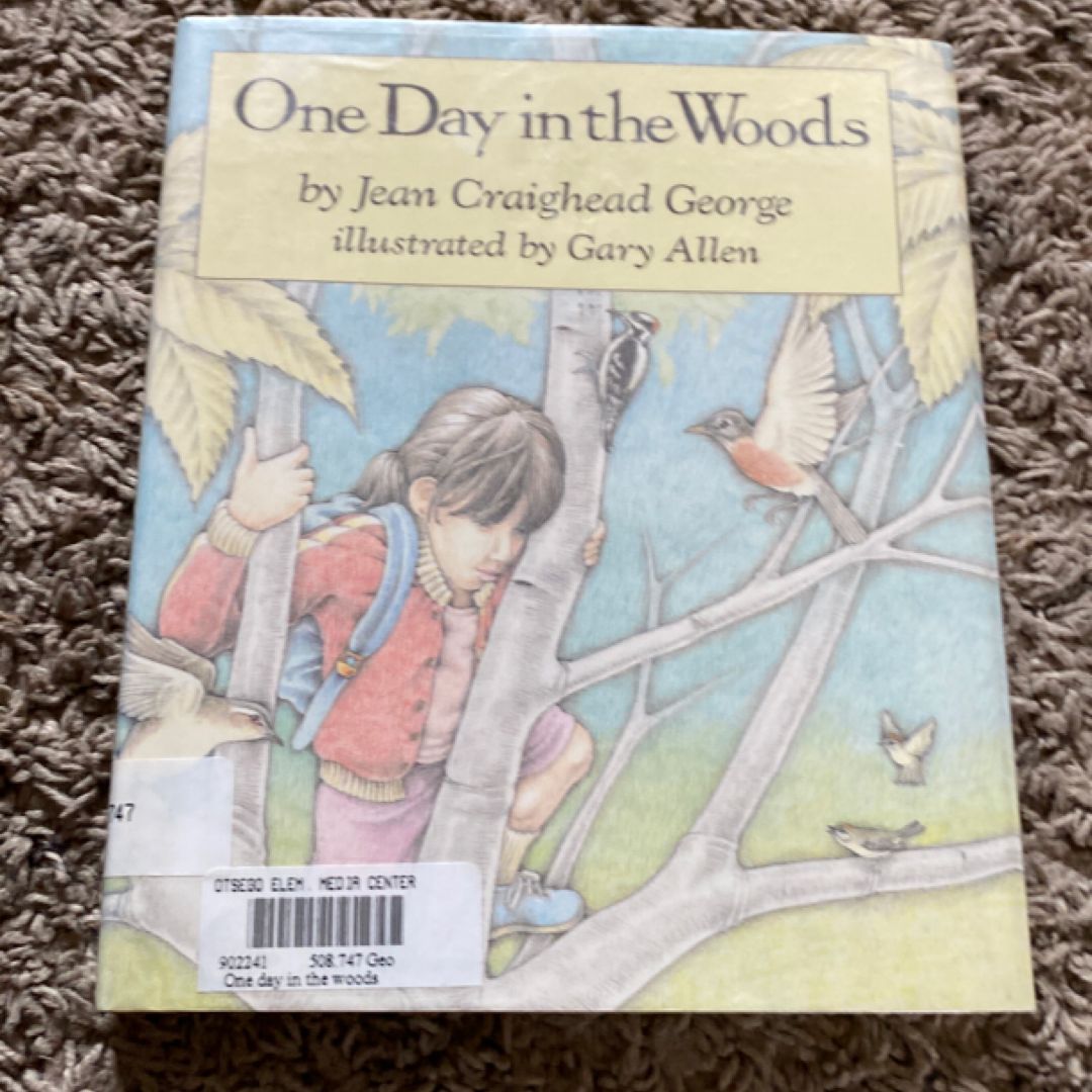 One Day in the Woods