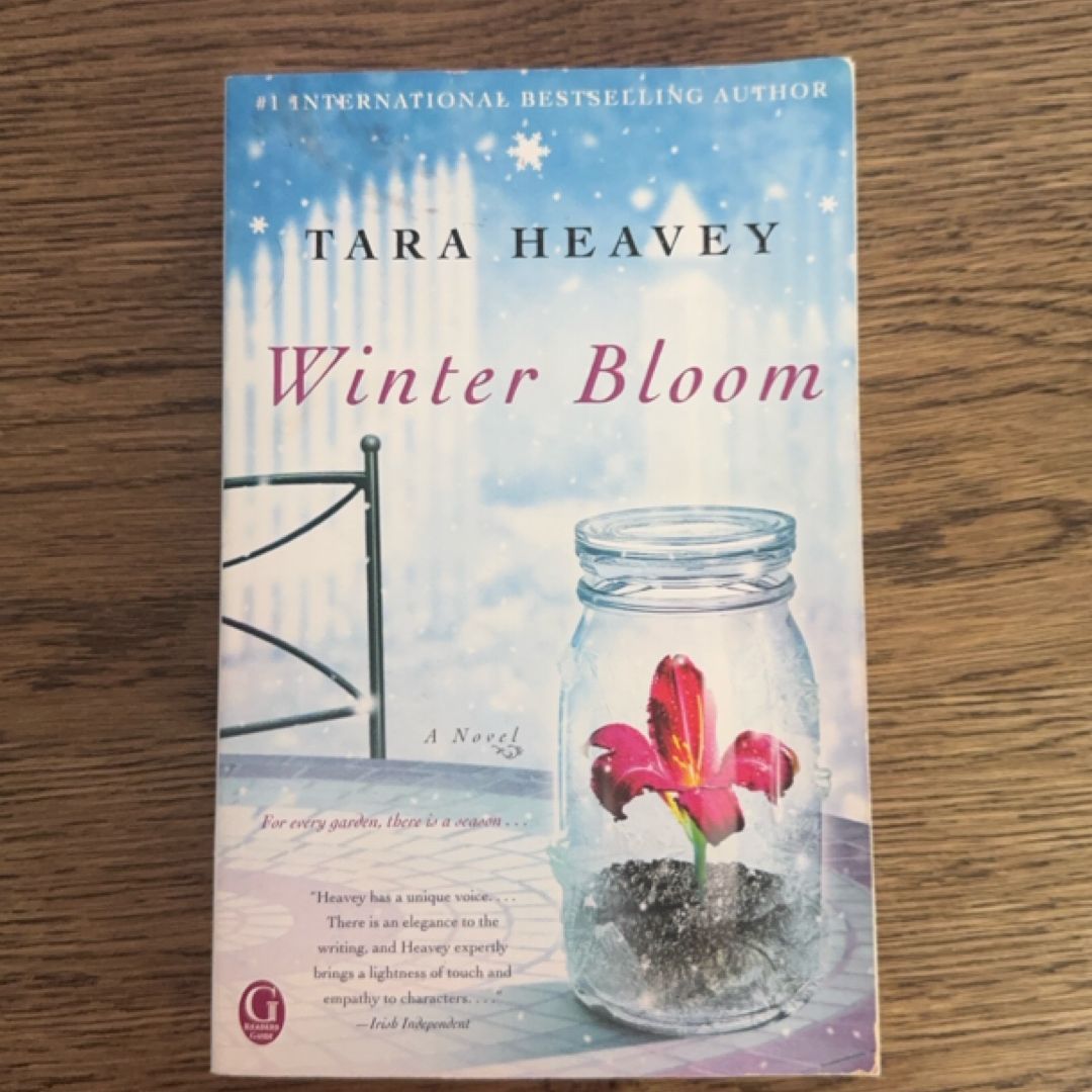 Winter Bloom
