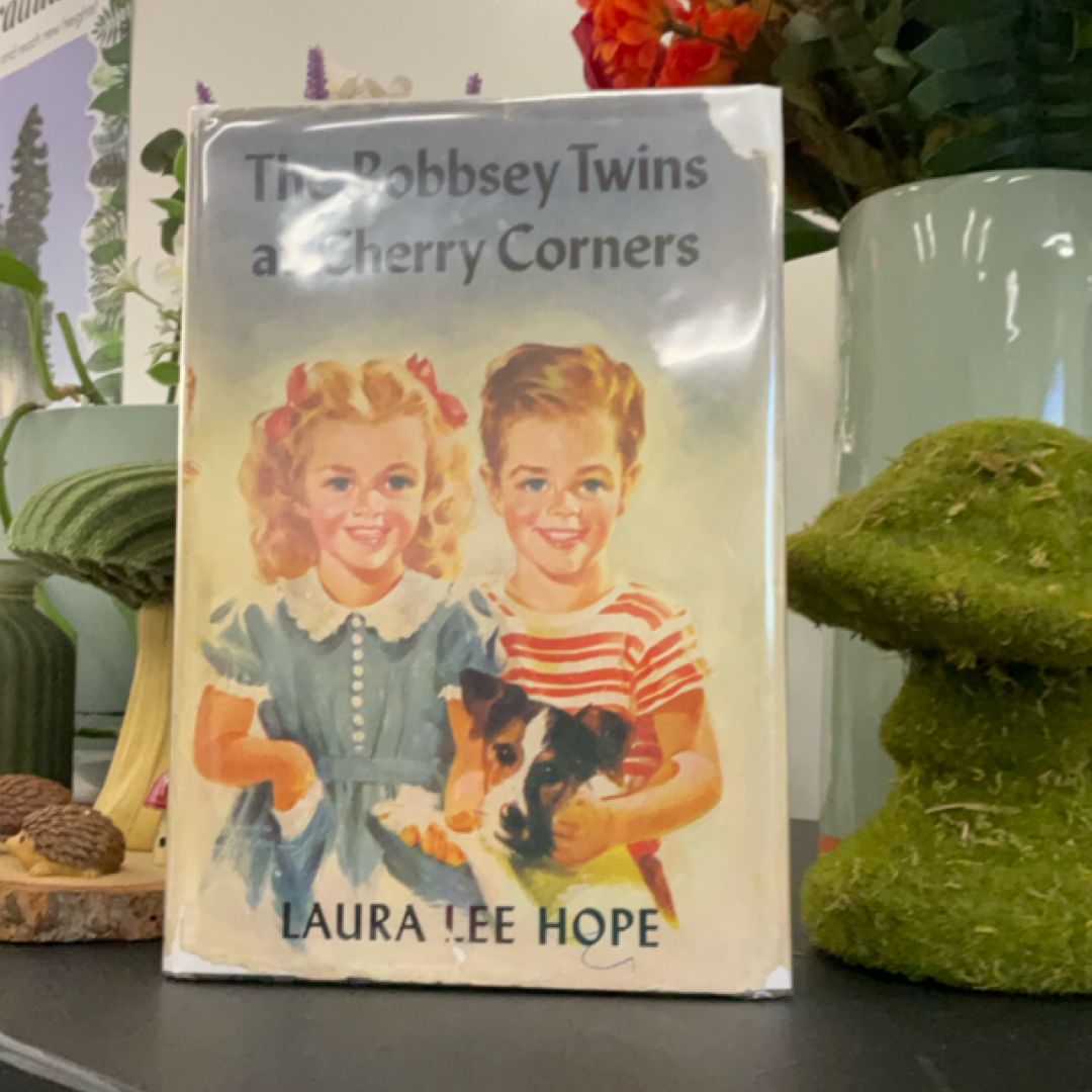 The Bobbsey Twins at Cherry Corners