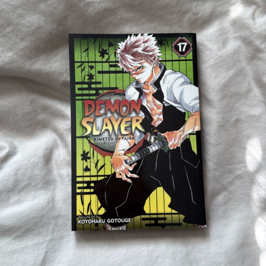 Demon Slayer: Kimetsu No Yaiba, Vol. 17