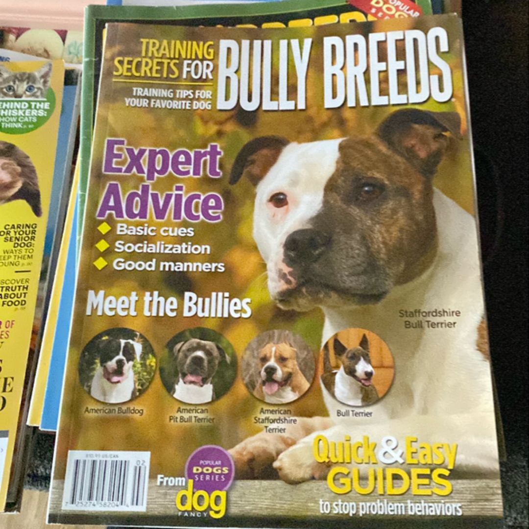 Training secrets for bully breeds