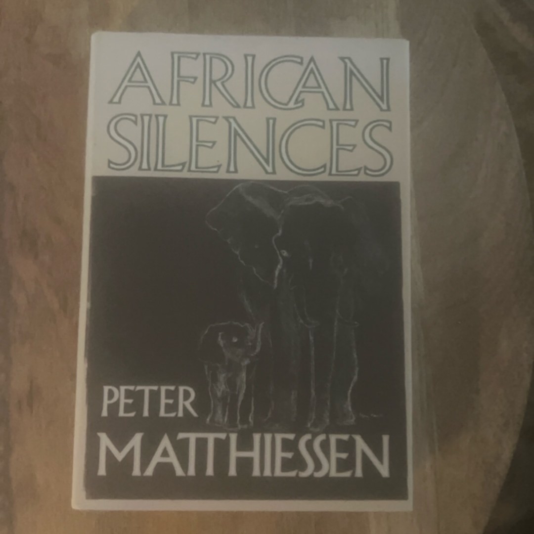 African Silences