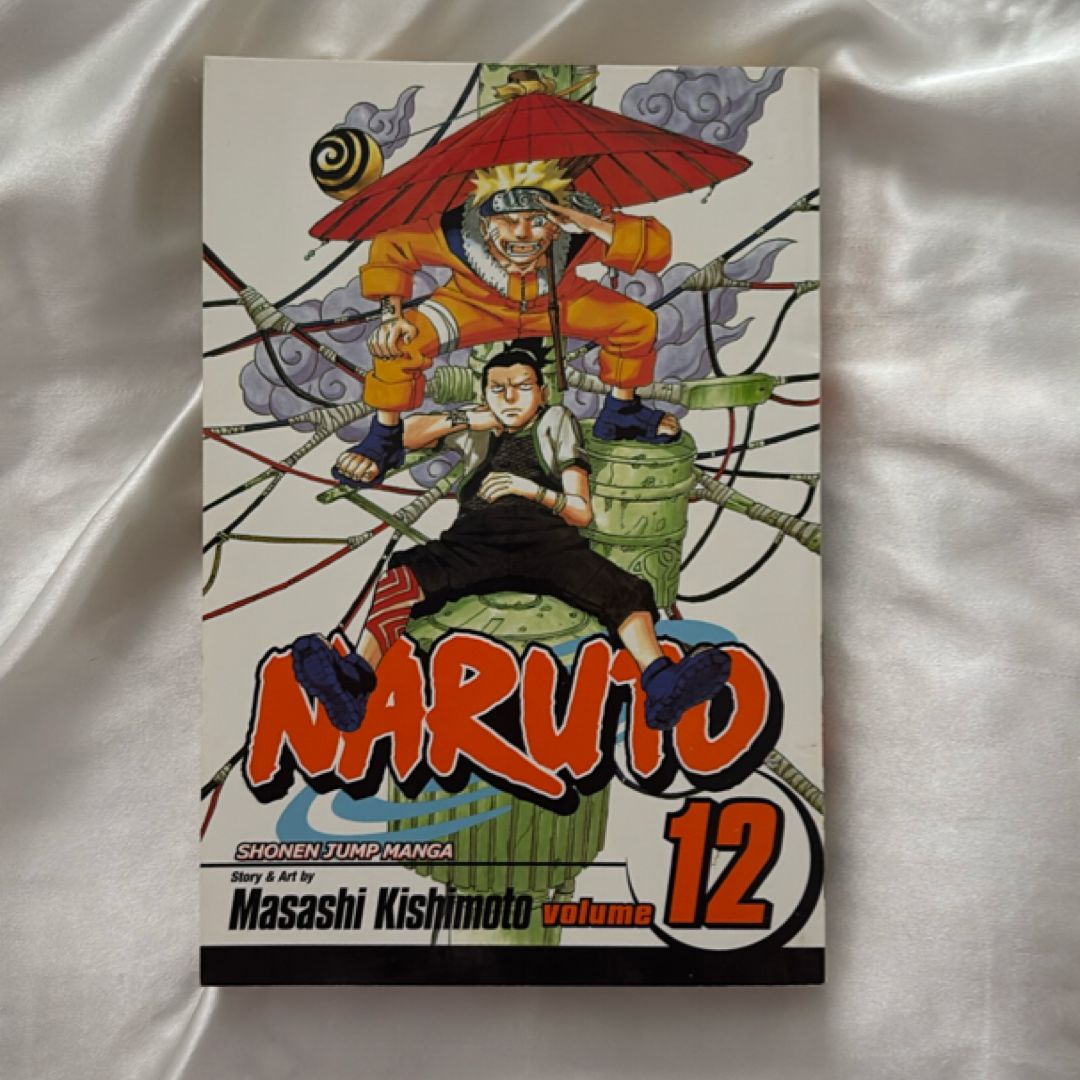 Naruto, Vol. 12