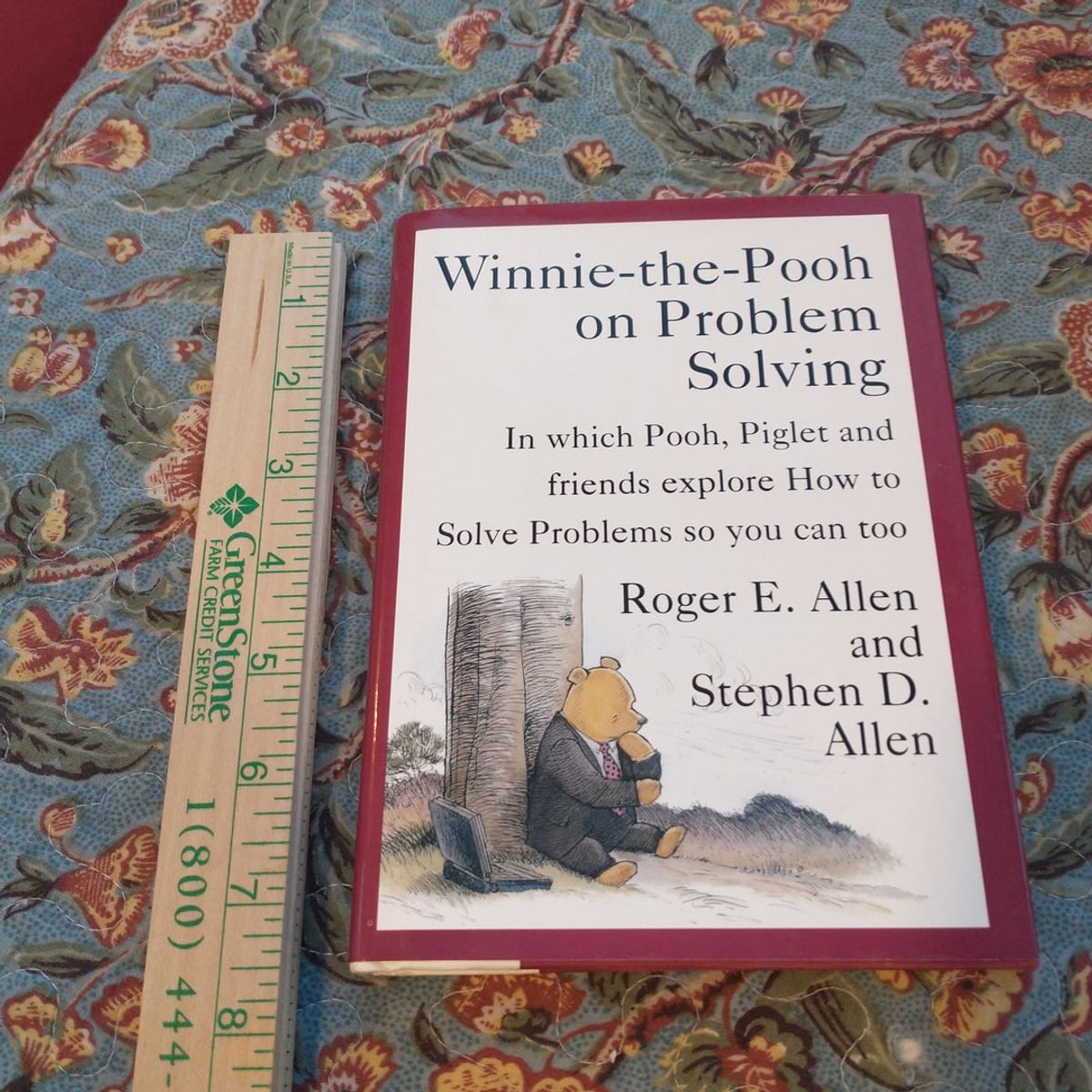 Winnie-the-Pooh on Problem Solving by Roger E. Allen, Stephen D. Allen