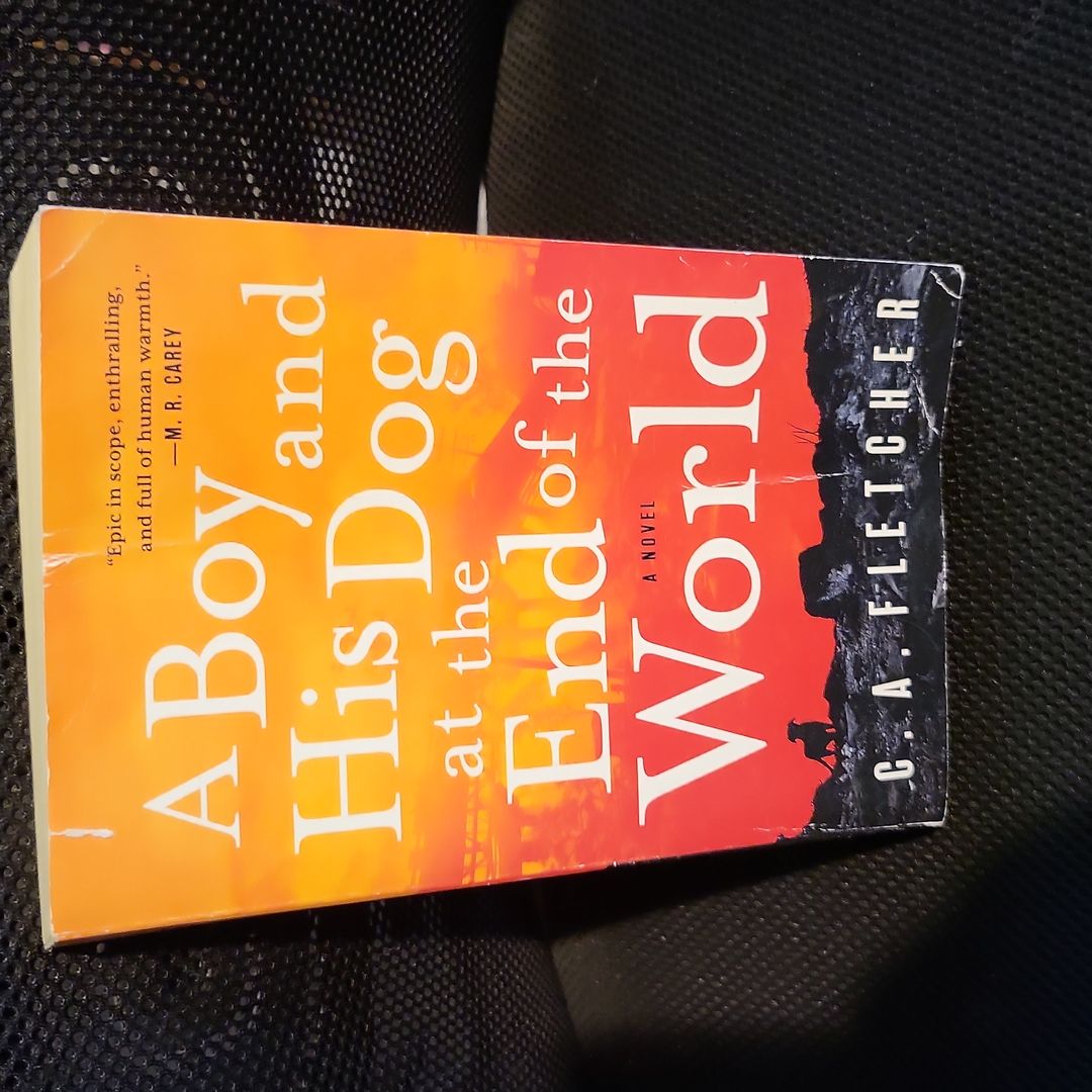 A Boy and His Dog at the End of the World