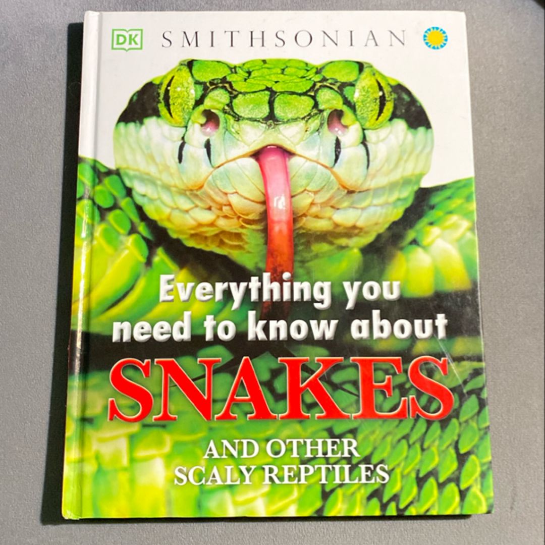 Everything You Need to Know about Snakes