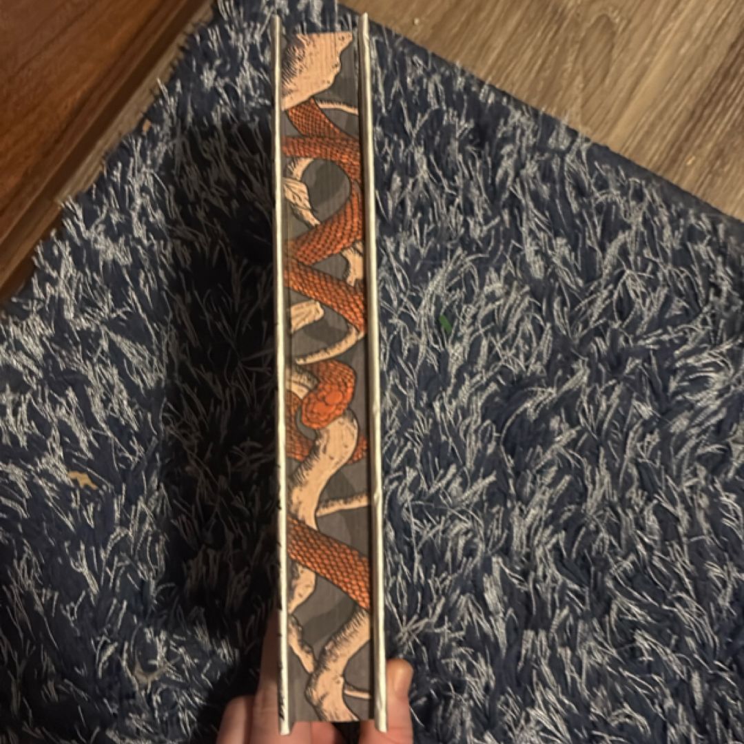 Godly Heathens a Novel (the Ouroboros, 1)